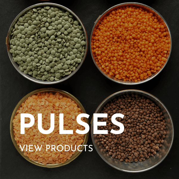 Pulses 2